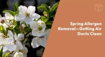 Spring flowers