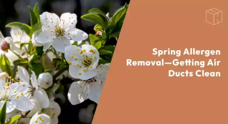 Spring flowers